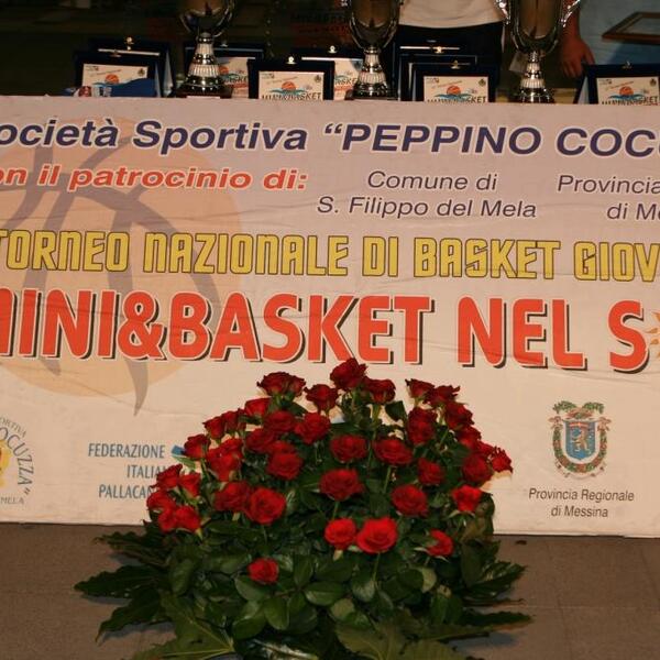 Mini & Basket nel sole 2010